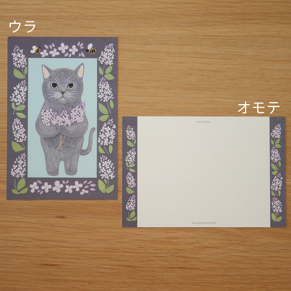 4 legs Postcard Cat #11