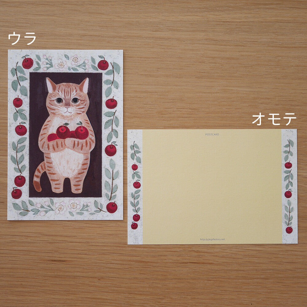 4 legs Postcard Cat #10