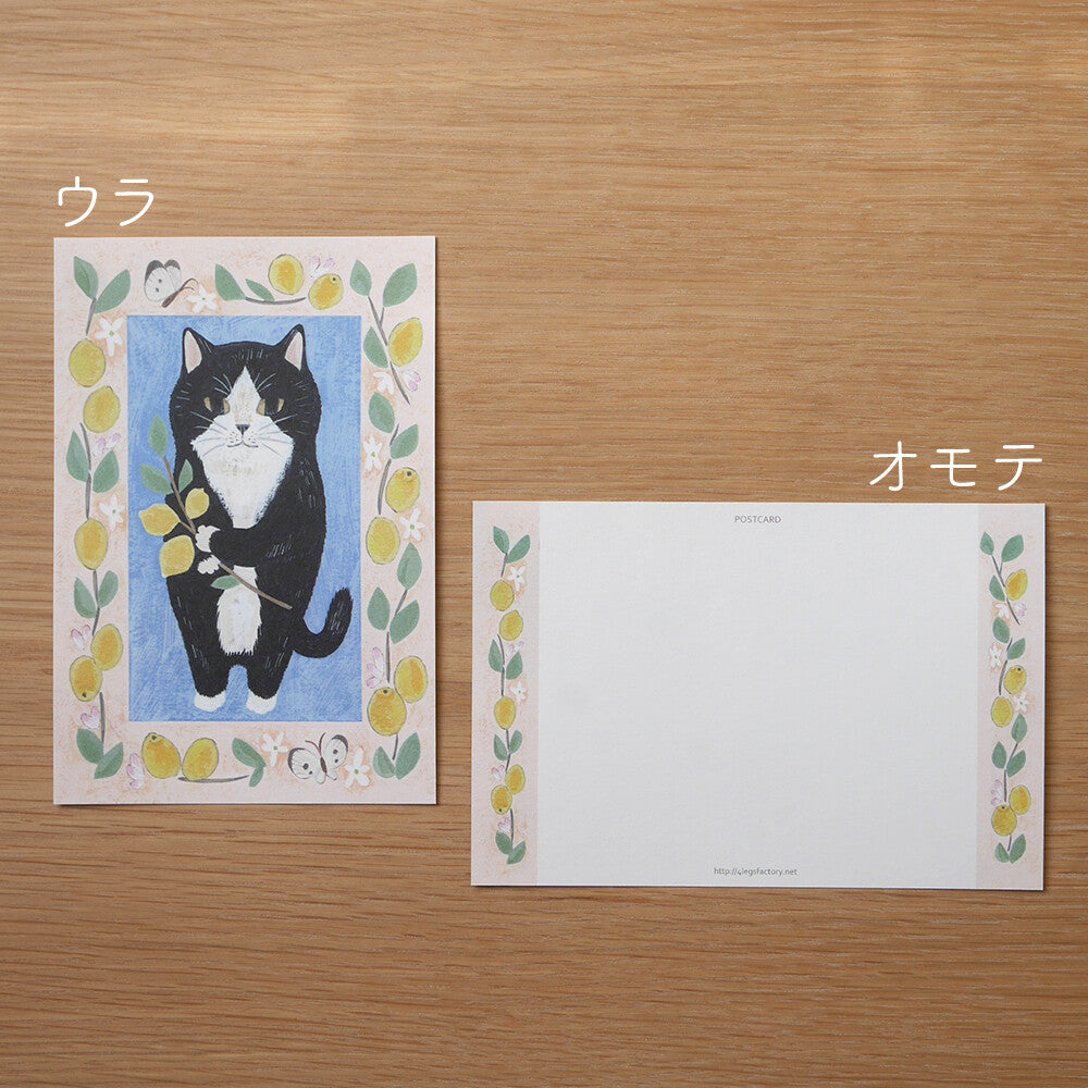 4 legs Postcard Cat #15