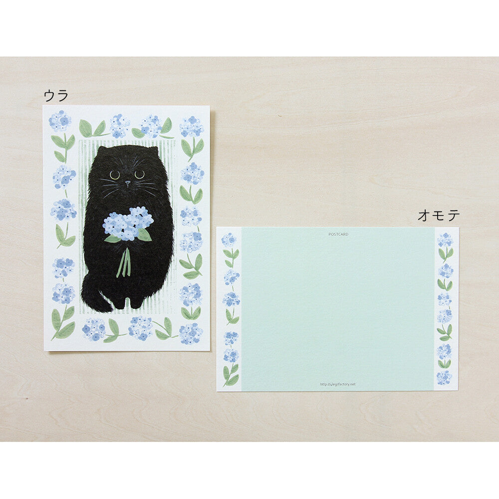 4 legs Postcard Cat #23