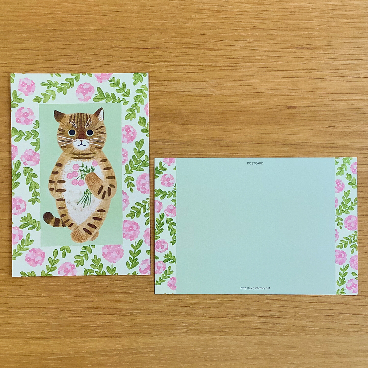 4 legs Postcard Kiji Tiger
