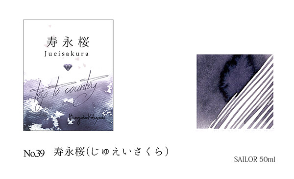 Kobayashi Shizuoka Original Fountain pen ink- Jueisakura