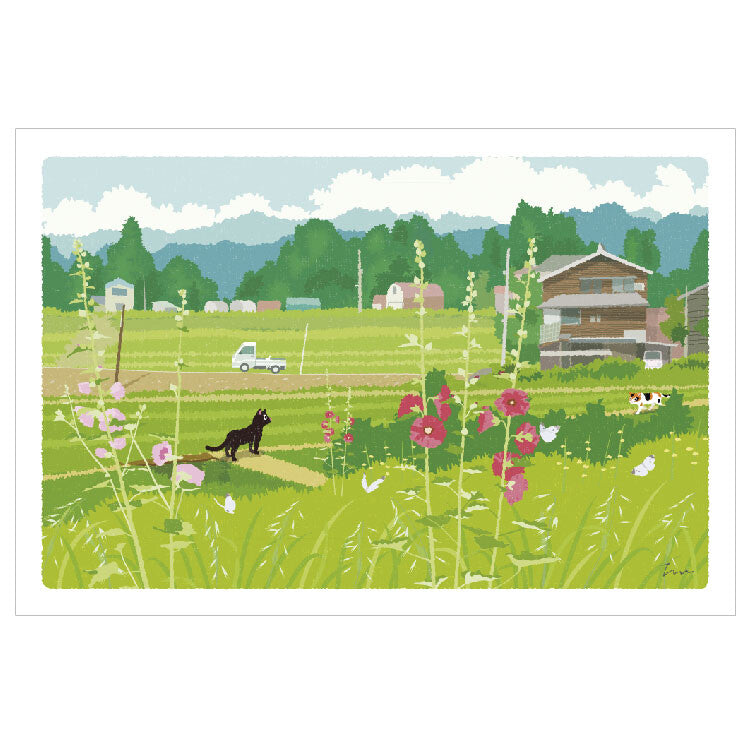 Postcard Tabi-Neko Early Summer