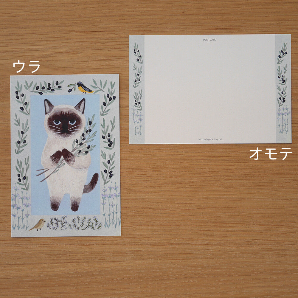 4 legs Postcard Cat #12