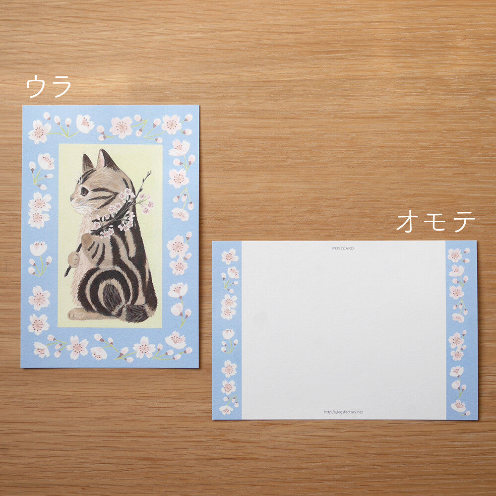 4 legs Postcard Cat #16