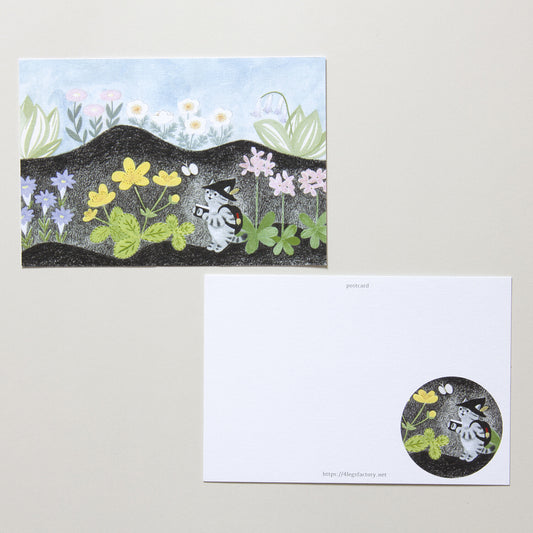 4 legs Postcard Travel Cat Haru