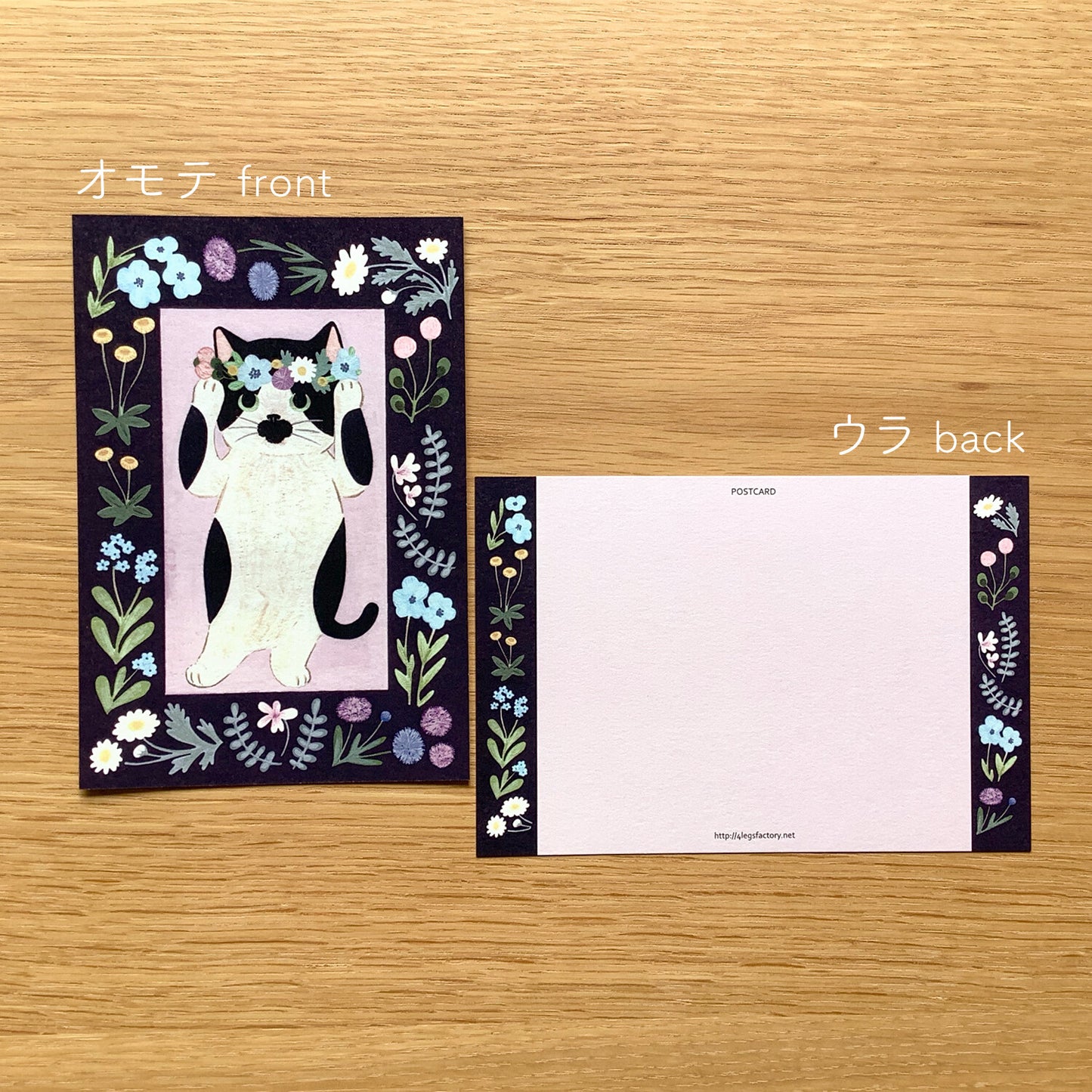 4 legs Postcard Bull Cat #4