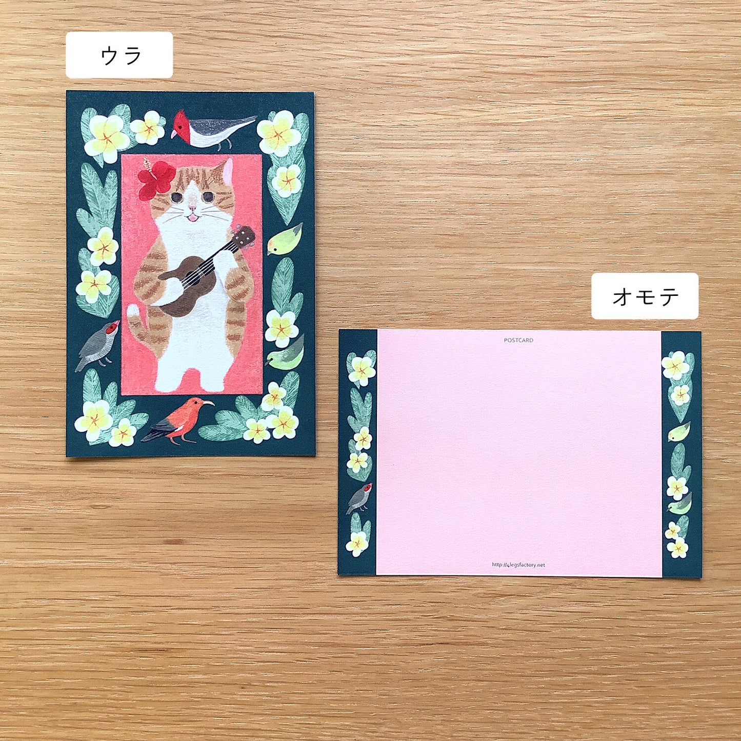 4 legs Postcard Cat #6