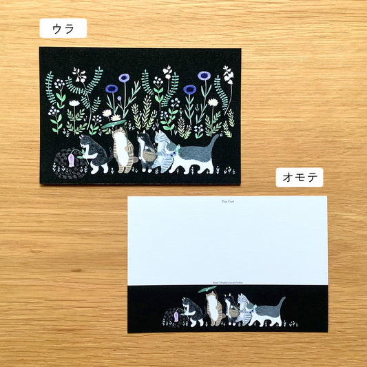 4 legs Postcard Land of the Cats