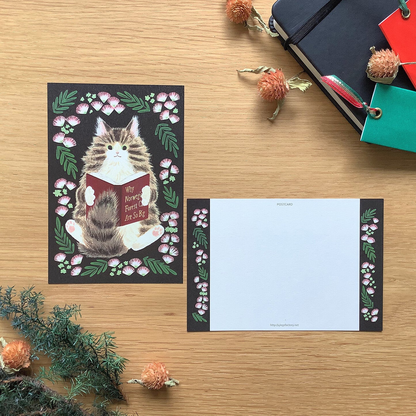 4 legs Postcard Book Cat #11
