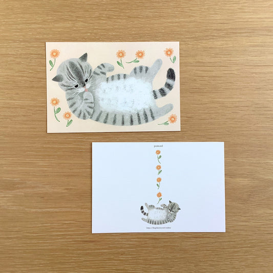 4 legs Postcard Pet my belly Gray Tiger Cat