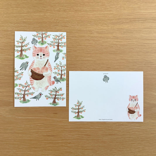 4 legs Postcard Peach Cat