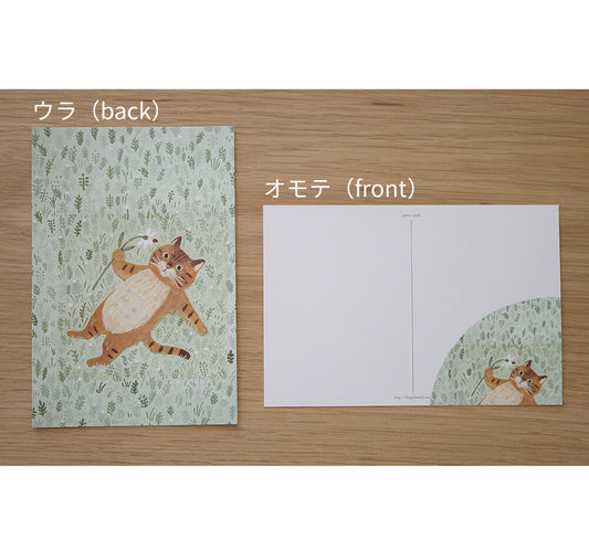 4 legs Postcard Cat in a grass field