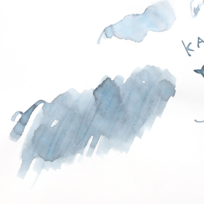 Forme. Penya Fountain pen ink Kamogawa Yurikamome