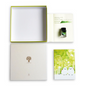 Sailor & Eggnworks Notebook And Ink set Golden Slumber