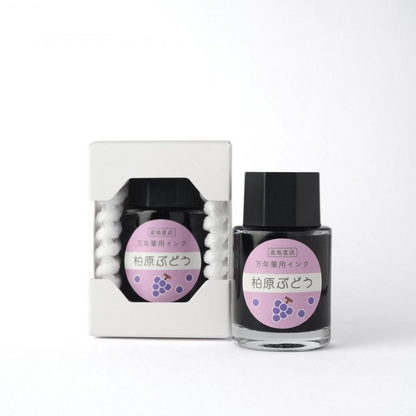 KA-KU Fountain pen ink Kashihara Grape