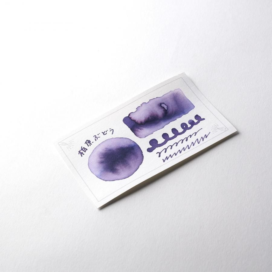 KA-KU Fountain pen ink Kashihara Grape