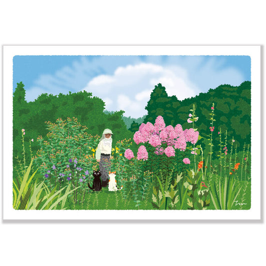 Postcard Tabi-Neko Flower Garden on a Summer Day