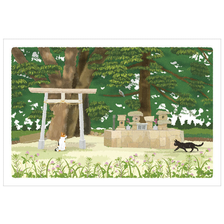 Postcard Tabi-Neko Promised land